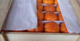 I offer the possibility of importing kaki fruit. The