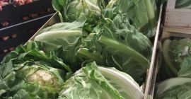 Карфиле за продажба - 6 бр. / Дървена кутия,