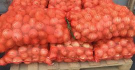 Ceapa galbenă este o varietate de ceapă uscată cu