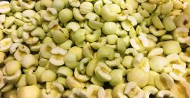 Ich werde einen maschinell geschälten Apfel verkaufen. Hälften, Würfel,