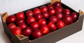 Ich werde Großhandelsmengen von Jonaprince, Red Jonaprince oder Black