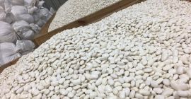 Здравейте, аз продавам TIROWE количество боб, джудже яйце около