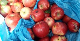 Я куплю органическое яблоко, яблоко без остатка. Я куплю