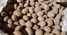 ЖЕЛТЫЙ И КРАСНЫЙ КАРТОФЕЛЬ В КОЛИЧЕСТВЕ Я ПРОДАЮ. ОЧЕНЬ