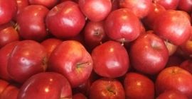 I will sell naidared, idared apple in very good