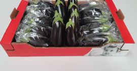 La vânzare o vinete spaniolă (mare), fără intermediari (direct