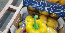 Червен пипер, зелен, жълт, оранжев от Испания, G или