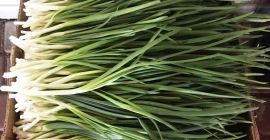 Venderò quantità fresche di verde fresco disponibili fino a