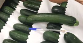 Voi vinde un dovleac foarte frumos. Pachete gratuite. Prețul