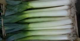 Я жду искусства или килограммов количества поддона Krypton f1