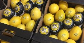 Лимон от Испания. Атрактивна цена. Безплатно опаковане. Стоки за