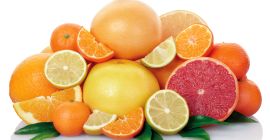 ШИШЕН ИСПАНСКИ ЦИТЪР (портокал, мандарина, лимон, други)! Испански износител