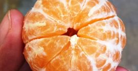 I will sell a mandarin - size 3.4 -
