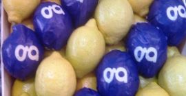 Лимон I клас, износ от Испания, хубав, свеж. Размер