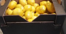 Лимон II клас, износ от Испания, има безупречна кожа,