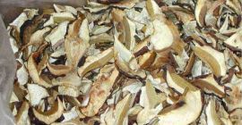 trockene Pilze verkaufen
