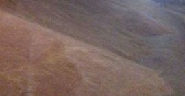 Пољопривредни произвођач продаје еколошки лан са сертификатом од 100