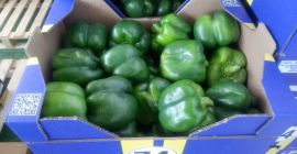 Я продам желтый и зеленый перец, импорт из Испании,