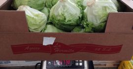 Продат ћу индустријску салату од леденог дрвета. Врло атрактивна