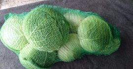Ich werde italienischen Kohl für die Industrie verkaufen (reibungslos