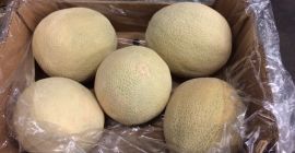 Voi vinde aur de Melon - Caraibe - în