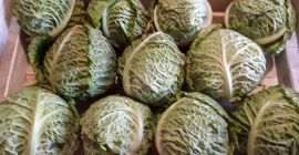 Eladok olasz káposztát tálcákon (olasz). Legfeljebb 0,9 kg-os kaliberű.