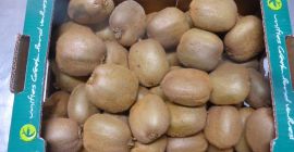 Bună ziua, trebuie să vând kiwi flat kal. 20/23/25/27.