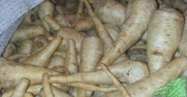 Я продам промышленную петрушку, некалиброванную, промытую, упаковку: большой мешок.