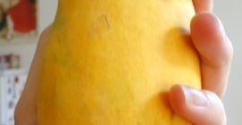 I have access to the best, the sweetest mango