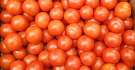 Pomodoro cocktail, fresco, bello, cartone da 3 kg.