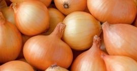 Свежий лук экспорт красный лук новый урожай на экспорт