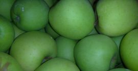 Hallo. Zu verkaufen Apfelsorten Gden lecker Ligol Lobo Jon