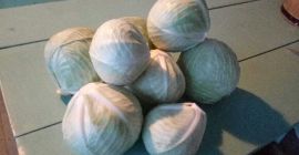 Marketer mucsuma variety, 1-3 kg. The form of packaging