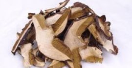 Ich werde getrocknete Pilze verkaufen, verpackt in 25 Gramm,