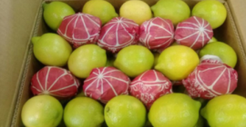 Аз ще продам CYTRYNY, 3/4/5. Страна на произход Португалия.