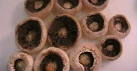 Voi cumpăra o ciupercă pentru uscare - o grămadă