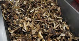 Ich werde getrocknete Pilze kaufen - Steinpilze in jeder