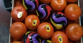 I will sell a mandarin from Turkey cal 1