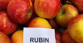 Ще продам * 7 тона RUBINA от Smart Fresh