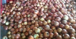 Fresh Red, Yellow and White Onion We have Top