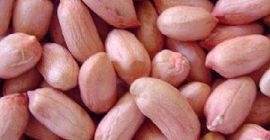 24/28 Пеануткернелс (дуги тип) Спецификација: Влага: 8,5% Мак, Додатак: