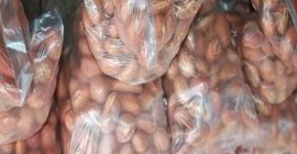 Siamo orgogliosi di presentarci come esportatore, distributore e fornitore