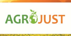 Meg fogunk vásárolni bármilyen mennyiségű csillagfürtöt. Az egész országban