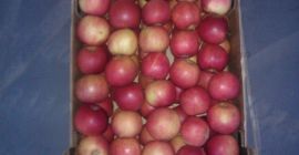 The Polish production company invites you to cooperation! We