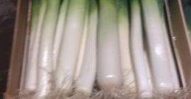 Eladok egy póréhagyma 2-3 vagy 3-4 kaliberű dobozban. Raklap