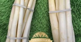 Ladies and gentlemen, the Polish producer cordially invites you