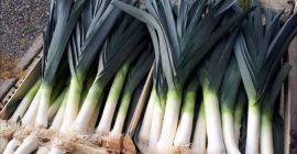 Eladom egy belga portot. Kaliber 3/4 vagy 2/4. I.