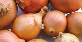 Offriamo cipolle fresche, aglio, zenzero, raccolta del cavolo 2019