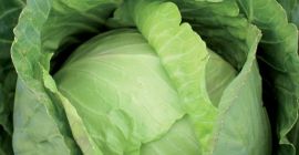 Wir bieten frische Zwiebeln, Knoblauch, Ingwer, Grünkohl 2019 zu
