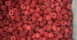 Comprerò le ciliegie polacche in b / p classe